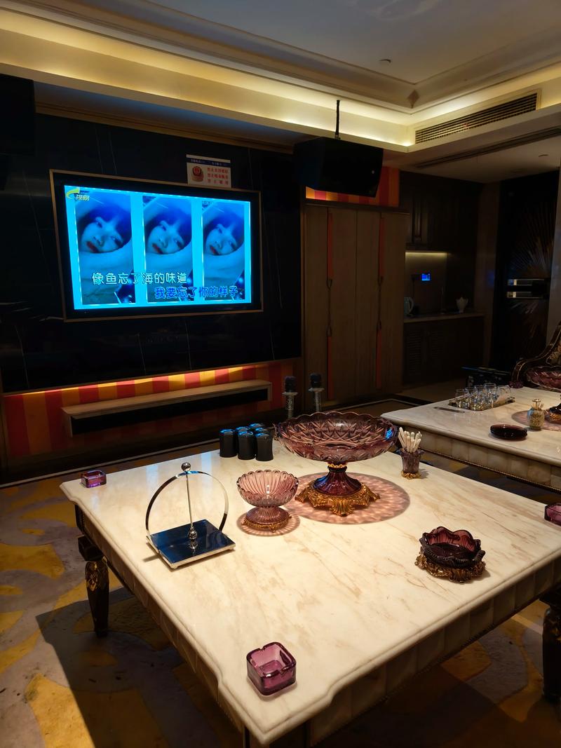 南充商务ktv新玩法-蓬安县ktv预定